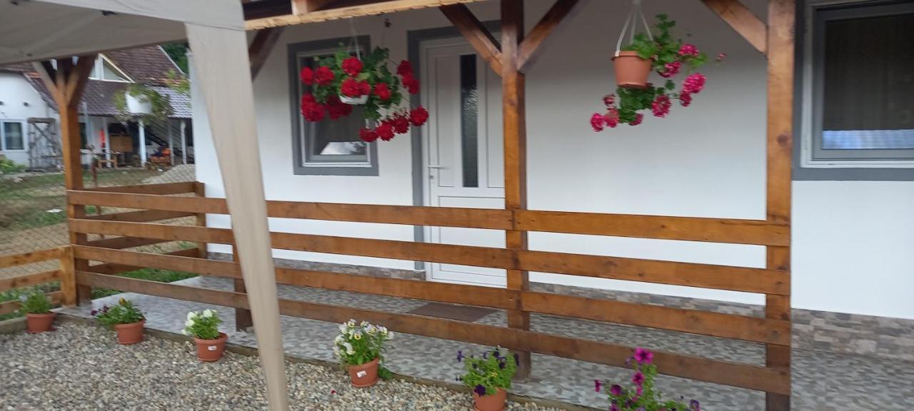 Casa Claudiu Villa Ieşelniţa Exteriör bild