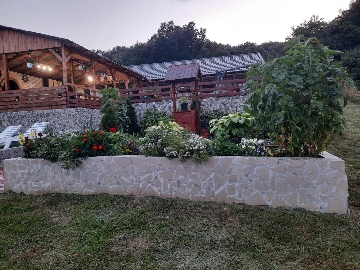 Casa Claudiu Villa Ieşelniţa Exteriör bild